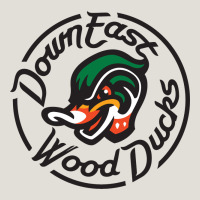 Down East Wood Ducks Heavy Core Tee | Teevron