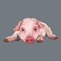 Baby Pig Heavyweight Sweatshirt | Teevron