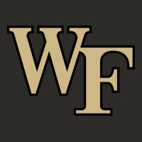 The Wake Forest Demon Deacons Heavy Core Tee | Teevron