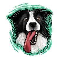 border collie | Teevron