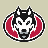 St. Cloud State Huskies, Merch Heavy Core Tee | Teevron