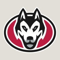 St. Cloud State Huskies, Merch Heavy Core Tee | Teevron