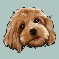 Cockapoo Premium Sweatshirt | Teevron