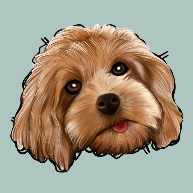 Cockapoo Premium Sweatshirt by Jasminsmagicworld | Teevron