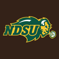 North Dakota State Bison Heavy Core Tee | Teevron