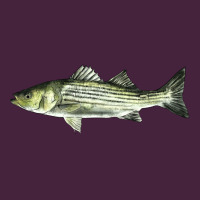 Striped Bass Long Sleeve Tee | Teevron