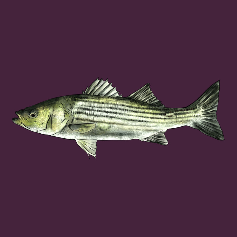 Striped Bass Long Sleeve Tee by LillyAllenDesigns | Teevron