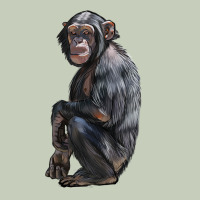 Chimpanzee Illustrations Long Sleeve Tee | Teevron