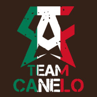Team Canelo Heavy Core Tee | Teevron