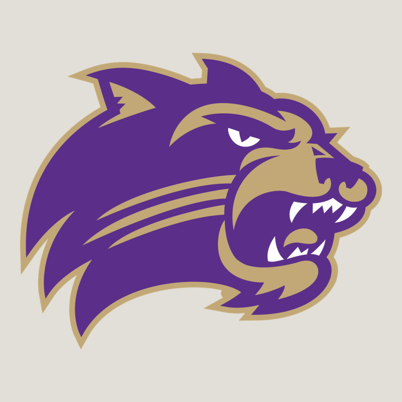 Western Carolina Catamounts Heavy Core Tee by linhVisuals | Teevron