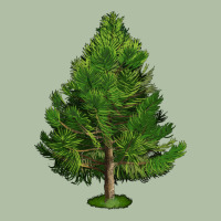 White Pine Tree Illustrations Urban Heavy Tee | Teevron
