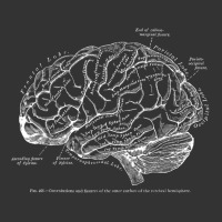 vintage human anatomy brain tee t tshirt | Teevron