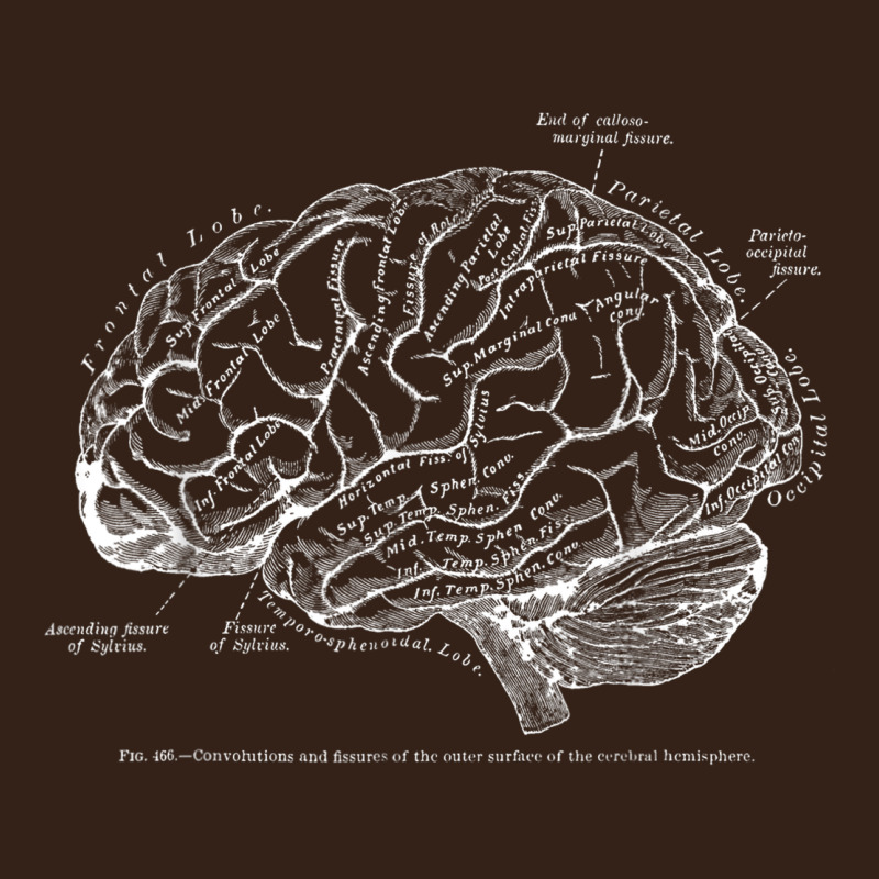 Vintage Human Anatomy Brain Tee T Tshirt Heavy Core Tee by linhVisuals | Teevron