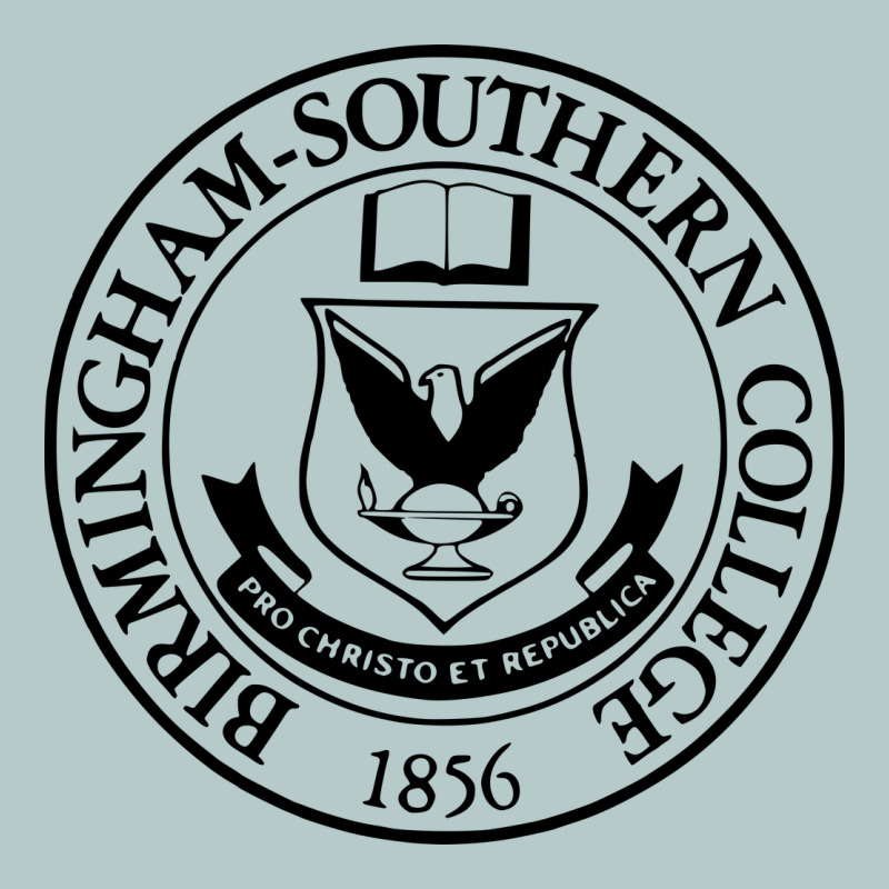 Birmingham Southern College Heavy Core Tee by linhVisuals | Teevron