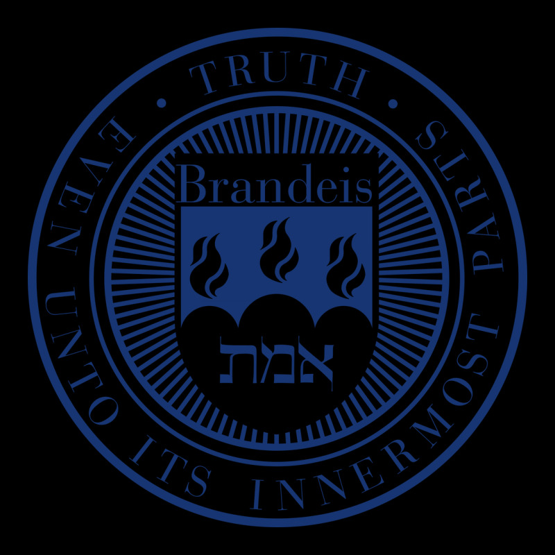 Brandeis University Heavy Core Tee by linhVisuals | Teevron