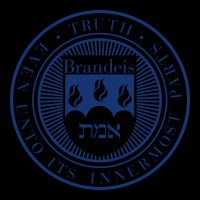 Brandeis University Heavy Core Tee | Teevron