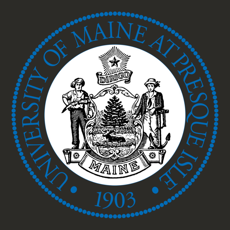 University Of Maine At Presque Heavy Core Tee by linhVisuals | Teevron