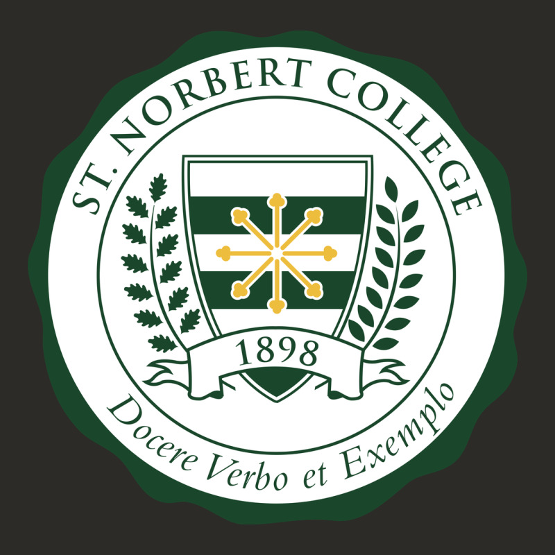 St. Norbert College Heavy Core Tee by linhVisuals | Teevron