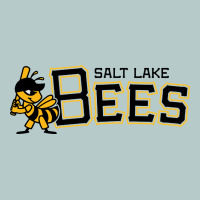Salt Lake City Bees Heavy Core Tee | Teevron