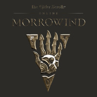 Morrowind Heavy Core Tee | Teevron
