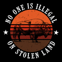 No One Is Illegal On Stolen Land 4th Of July Bison Heavy Core Tee | Teevron