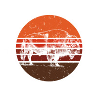 no one is illegal on stolen land 4th of july bison | Teevron