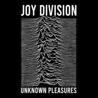 Joy Division - Unknown Pleasures Heavy Core Tee | Teevron