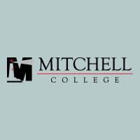 Mitchell College Heavy Core Tee | Teevron