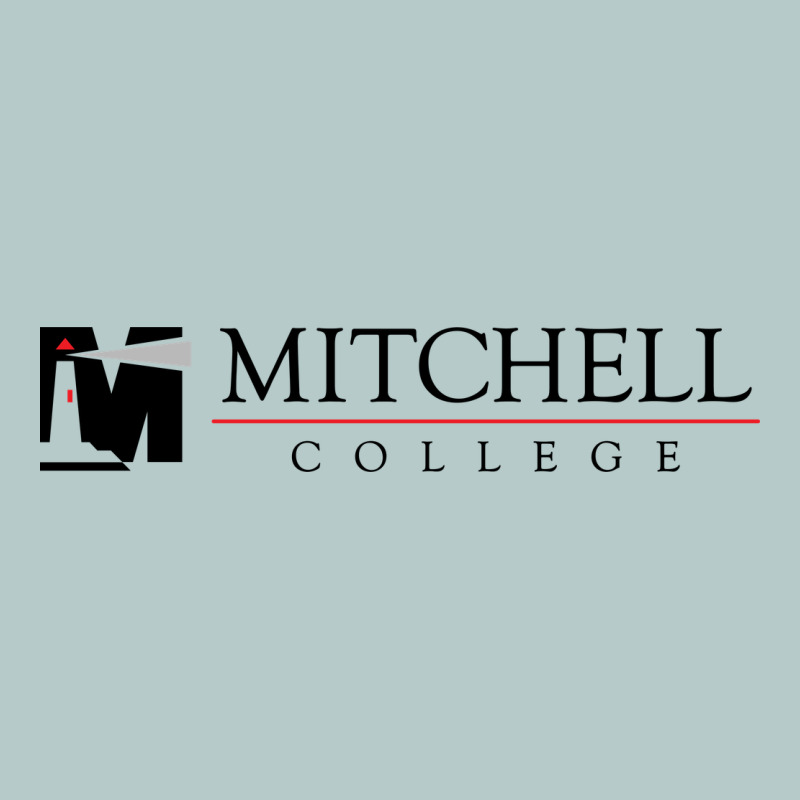 Mitchell College Heavy Core Tee by linhVisuals | Teevron
