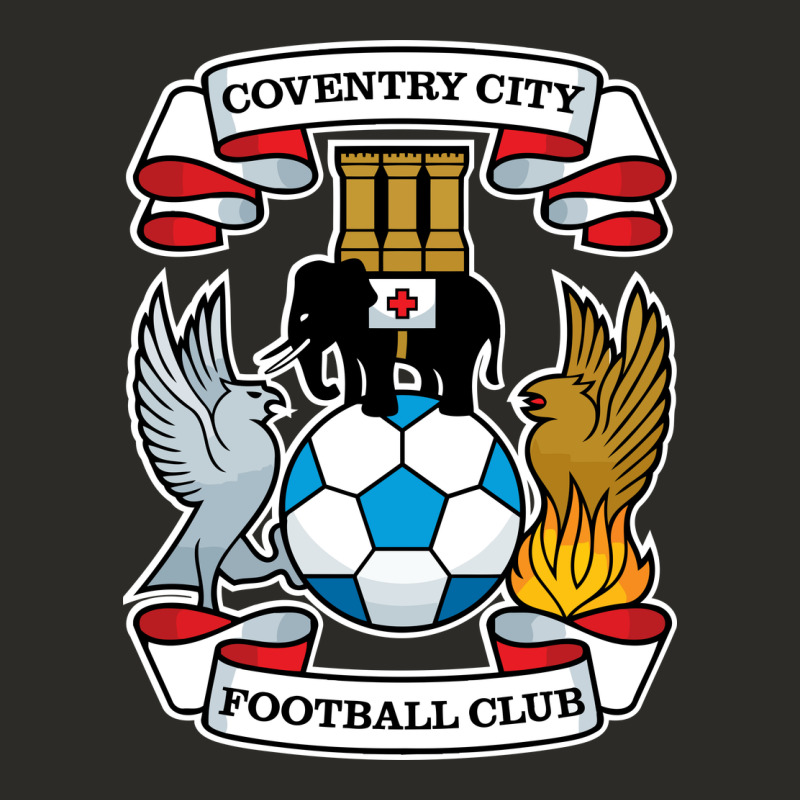 Coventry-city-fc Heavy Core Tee by linhVisuals | Teevron