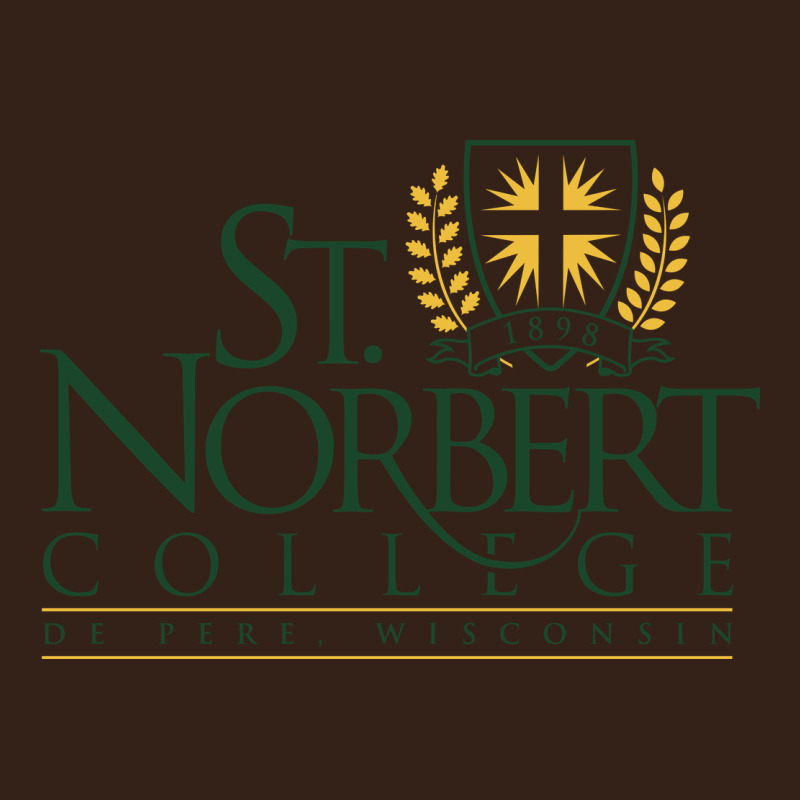 St. Norbert College Heavy Core Tee by linhVisuals | Teevron