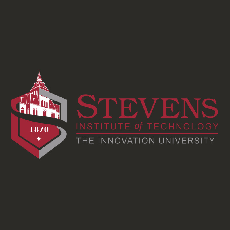 Stevens Institute Of Technology Heavy Core Tee by linhVisuals | Teevron