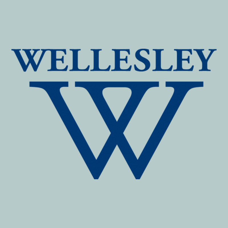 Wellesley College Heavy Core Tee by linhVisuals | Teevron