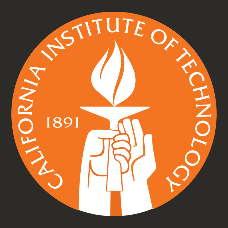 California Institute Of Technology Heavy Core Tee by linhVisuals | Teevron