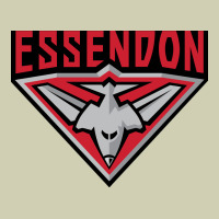 Essendon Fc Heavy Core Tee | Teevron