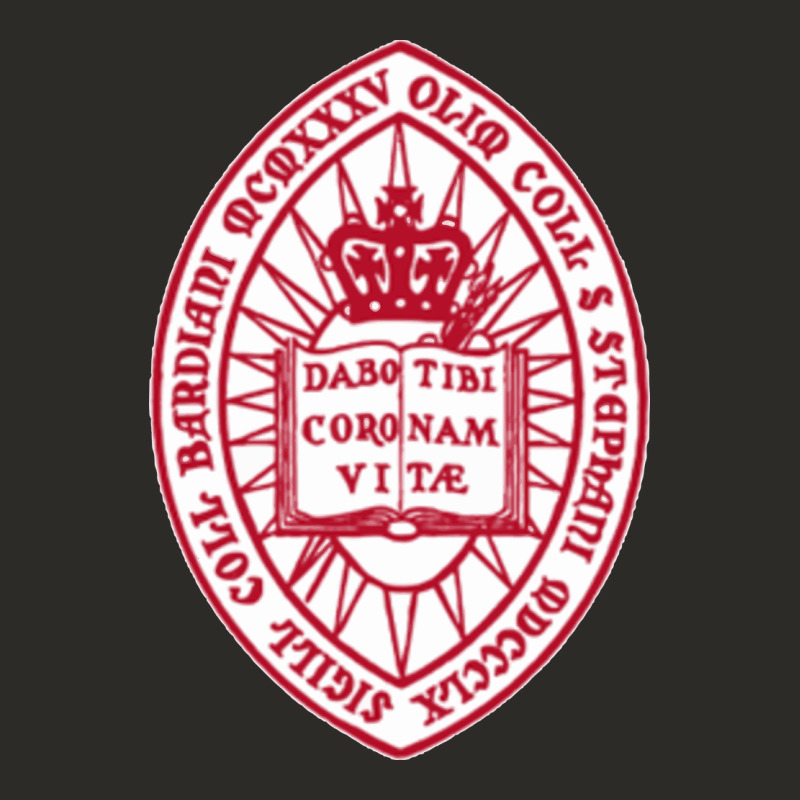 Bard College Heavy Core Tee by linhVisuals | Teevron