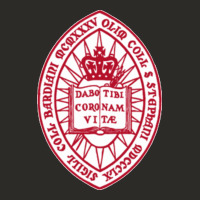 Bard College Heavy Core Tee | Teevron