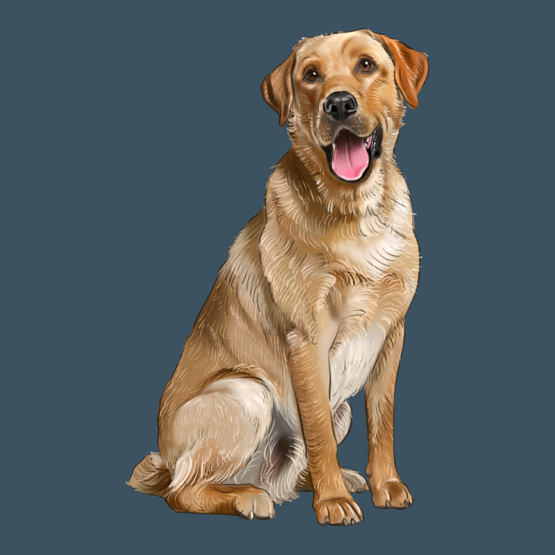 Labrador Retriever Llustrations Urban Heavy Tee by LillyAllenDesigns | Teevron