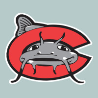 Carolina Mudcats Heavy Core Tee | Teevron