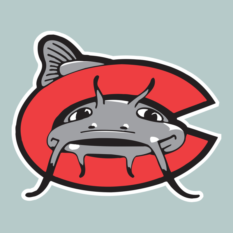 Carolina Mudcats Heavy Core Tee by linhVisuals | Teevron