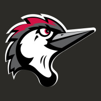 Fayetteville Woodpeckers Heavy Core Tee | Teevron