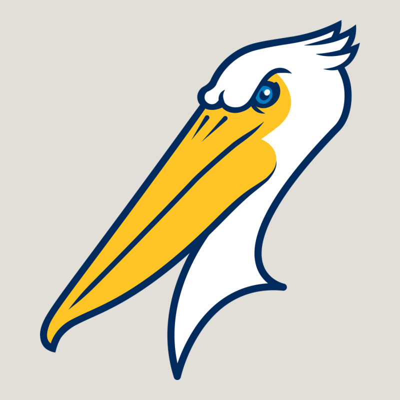 Myrtle Beach Pelicans Heavy Core Tee by linhVisuals | Teevron