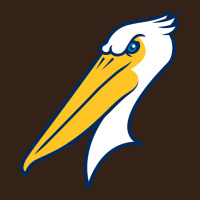Myrtle Beach Pelicans Heavy Core Tee | Teevron