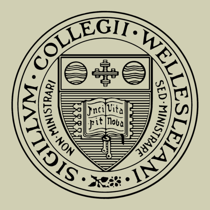 Wellesley College Heavy Core Tee by linhVisuals | Teevron