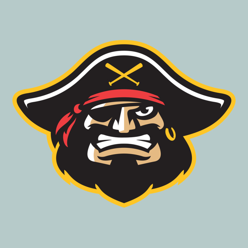 Bradenton Marauders Heavy Core Tee by linhVisuals | Teevron