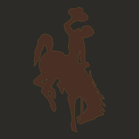 Wyoming Athletics Heavy Core Tee | Teevron