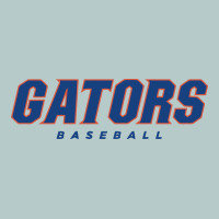Gators Baseball Heavy Core Tee | Teevron