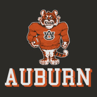 Auburn Tigers 02 Heavy Core Tee | Teevron