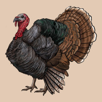 Gobble Urban Hoodie | Teevron