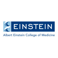 albert einstein college of medicine | Teevron
